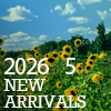 2026年5月新到貨