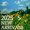 2025年5月新到貨