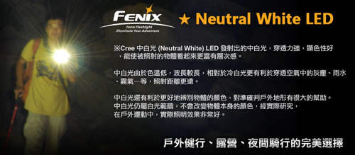ld40-800-2.jpg
