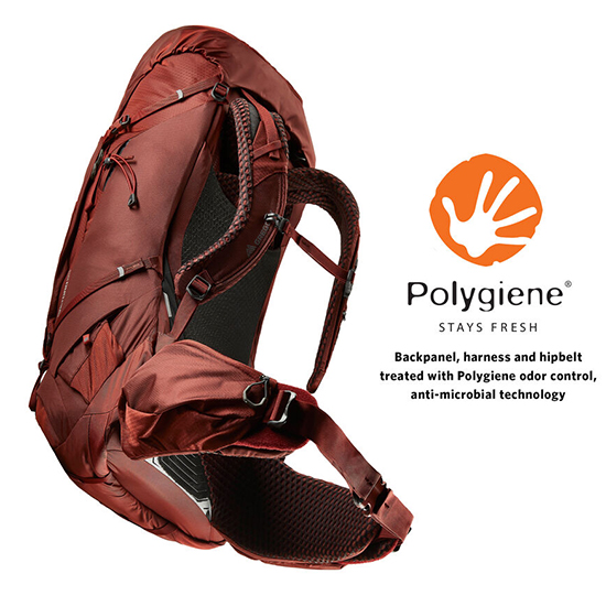 gmp_s22_baltoro_polygiene1.jpg