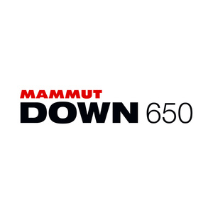 down650_logo.jpg