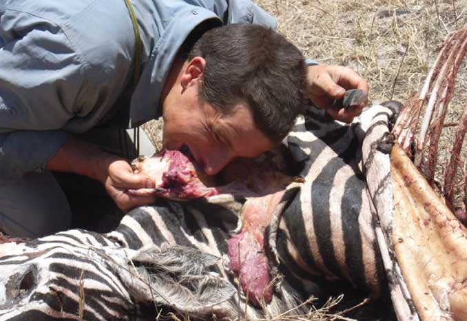 bear-grylls-zebra.jpg