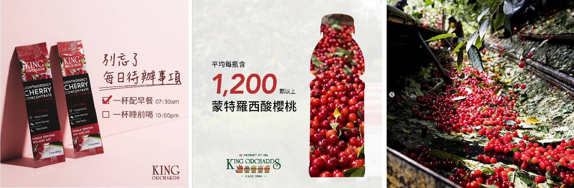 kingorchards-a.jpeg kingorchards-a.jpeg