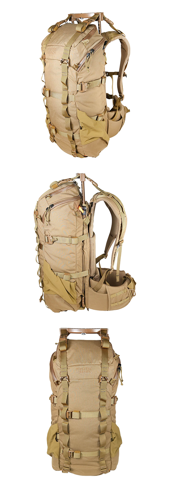 popup30-coyote-1.jpg