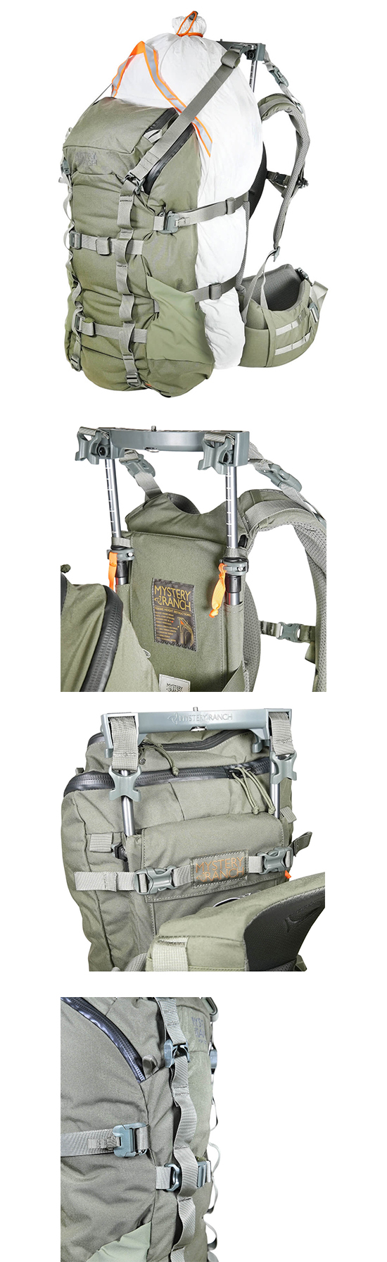 popup30-coyote-2.jpg