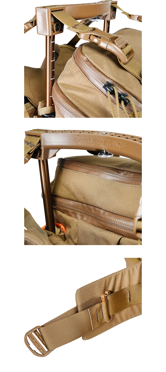 popup30-coyote-3.jpg
