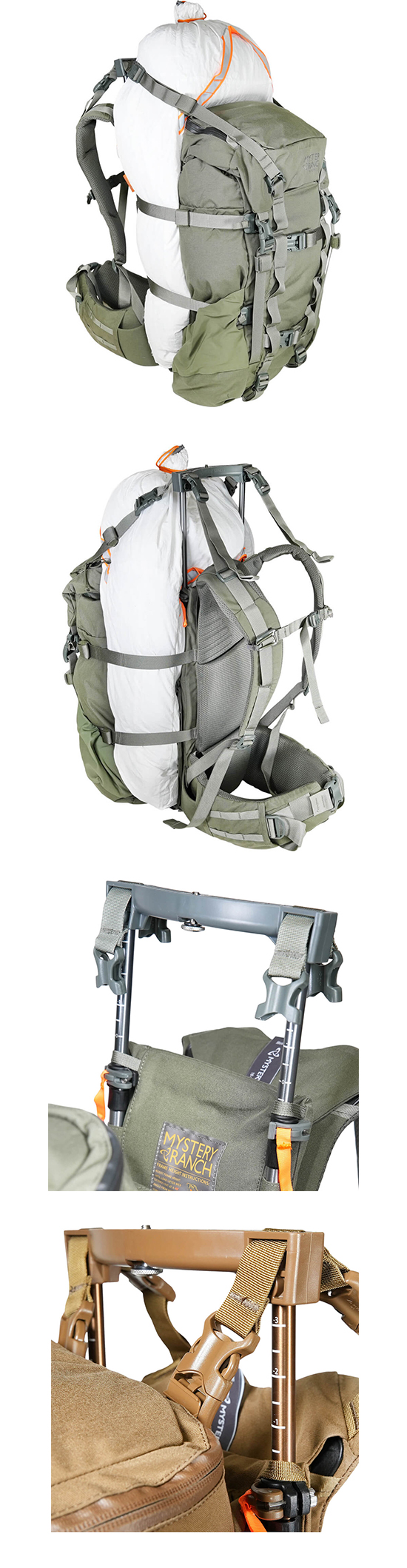 popup40-coyote-3.jpg